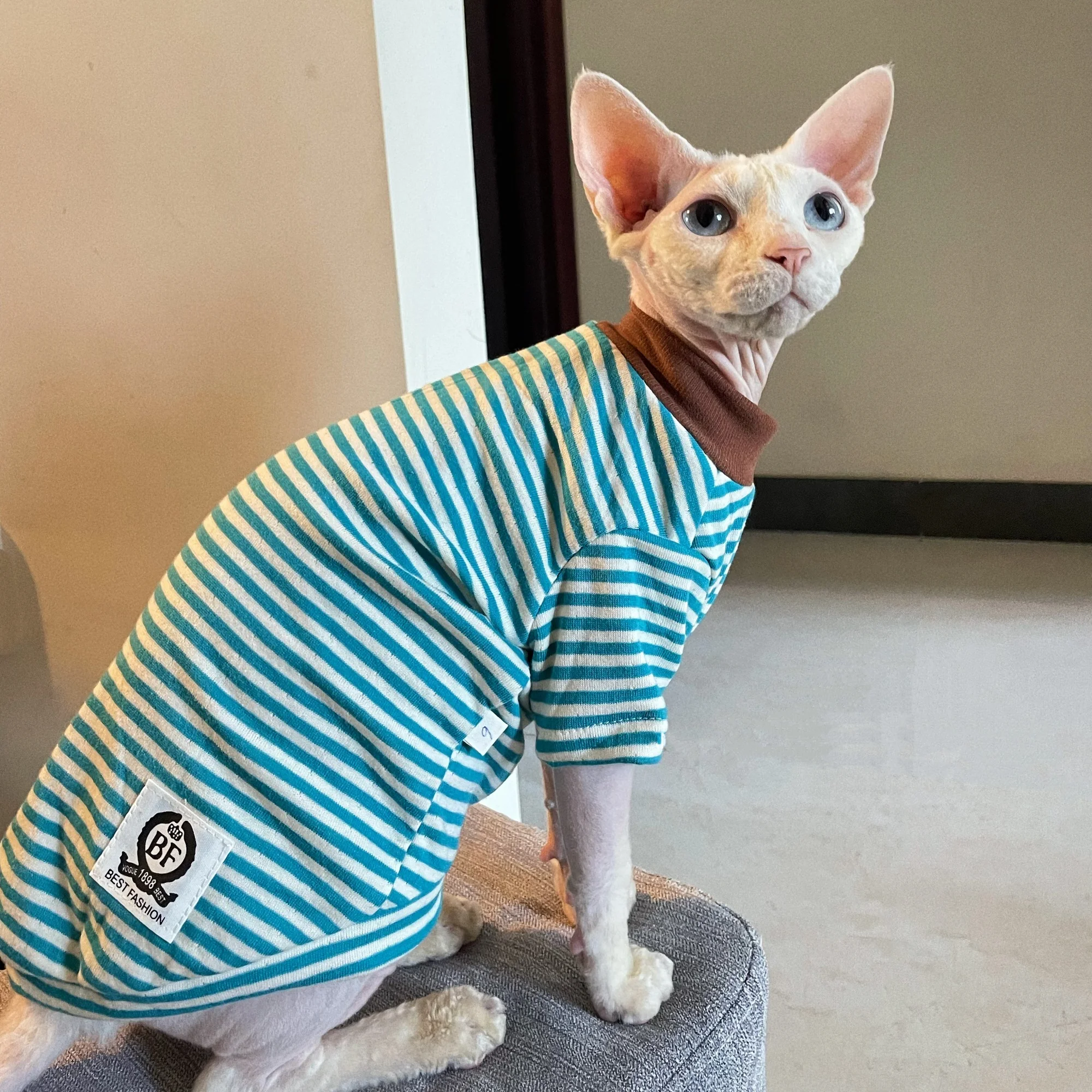 Camiseta algodón rayada azul gato Sphynx Devon Rex pijama de invierno