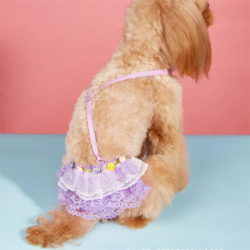 Pantalones fisiológicos bonitos de encaje para mascotas, pantalones fisiológicos para perros pequeños y gatos, pantalones menstruales de seguridad para perros masculinos, accesorios para mascotas - imagen 4