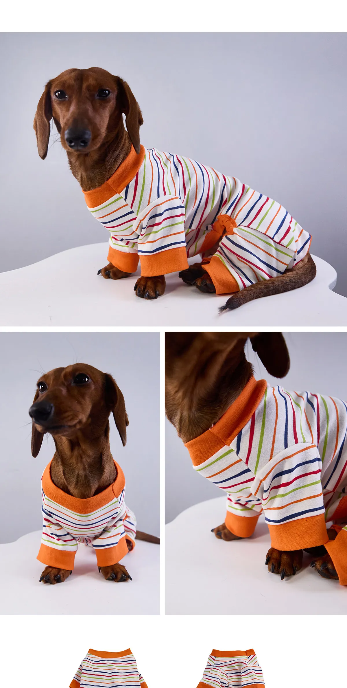 Detalle de rayas de la sudadera para perro salchicha