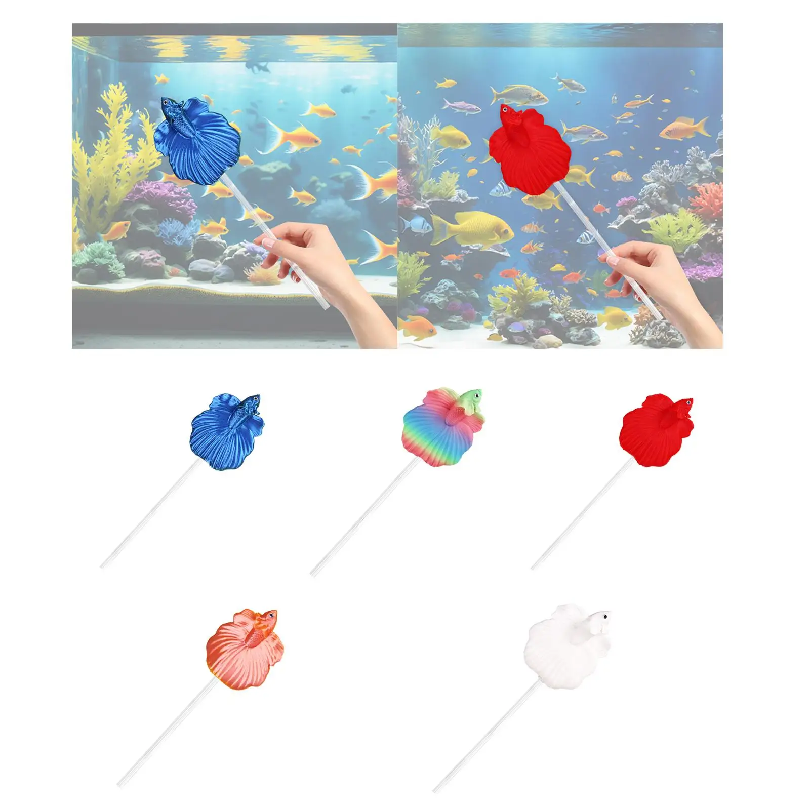 Betta Fish Training Wand,Fishtank Accessories,Sturdy,Portable,Interactive,Aquarium Fishtank Decoration Aquariums Wand Realistic Betta Fish Training Wand,Fishtank Accessories,Sturdy,Portable,Interactive,Aquarium Fishtank Decoration Aquariums Wand Realistic