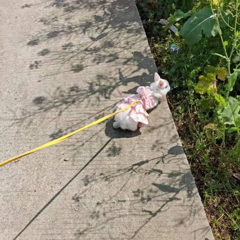 Conjunto de vestido y correa con arnés de conejo de algodón suave para conejos, ropa de verano para animales pequeños, suministros para caminar al aire libre para mascotas - imagen 5