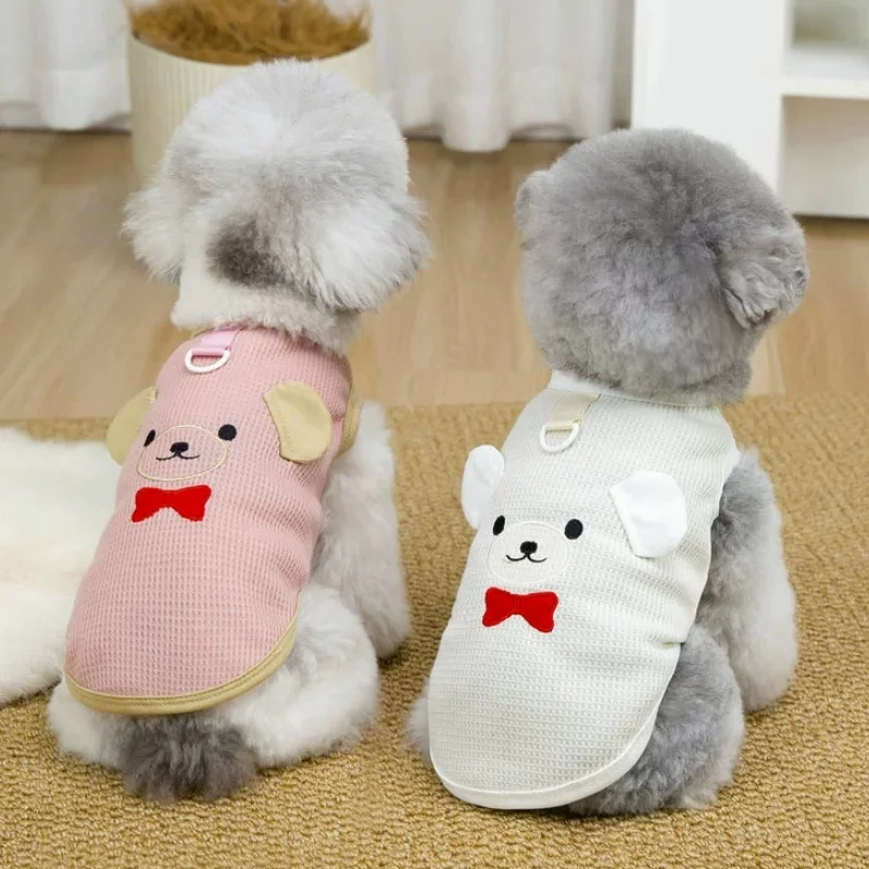 Ropa de lujo para perros y gatos: chalecos, suéteres y camisetas - imagen 4