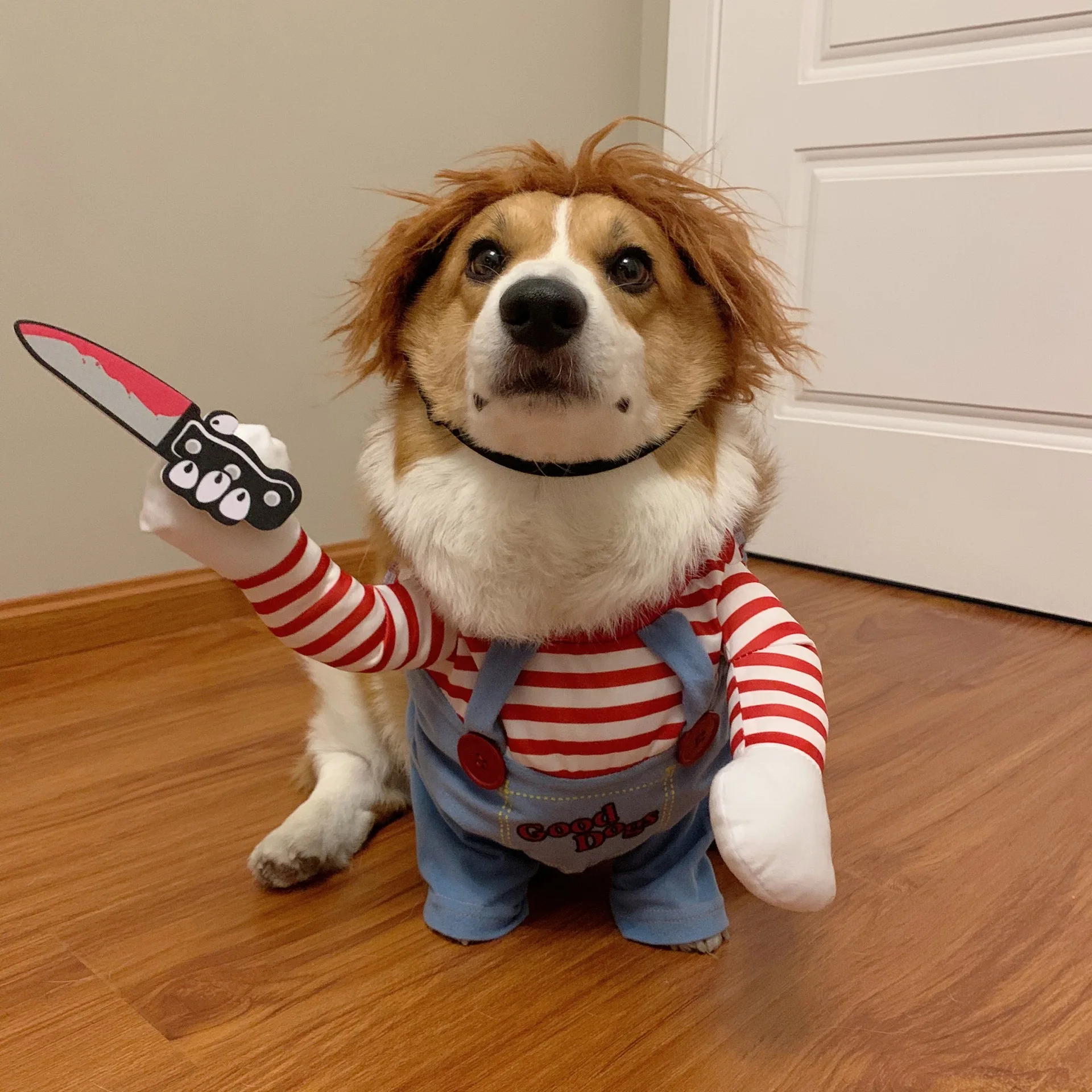 Disfraz de Halloween para mascotas, ropa para perros, mono Chucky, muñeco mortal para perros, disfraz de fiesta divertido, ropa para perros pequeños y medianos - imagen 2