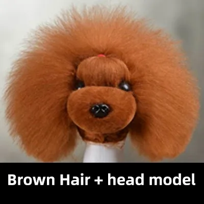 Brown hair headmodel