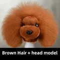 Brown hair headmodel