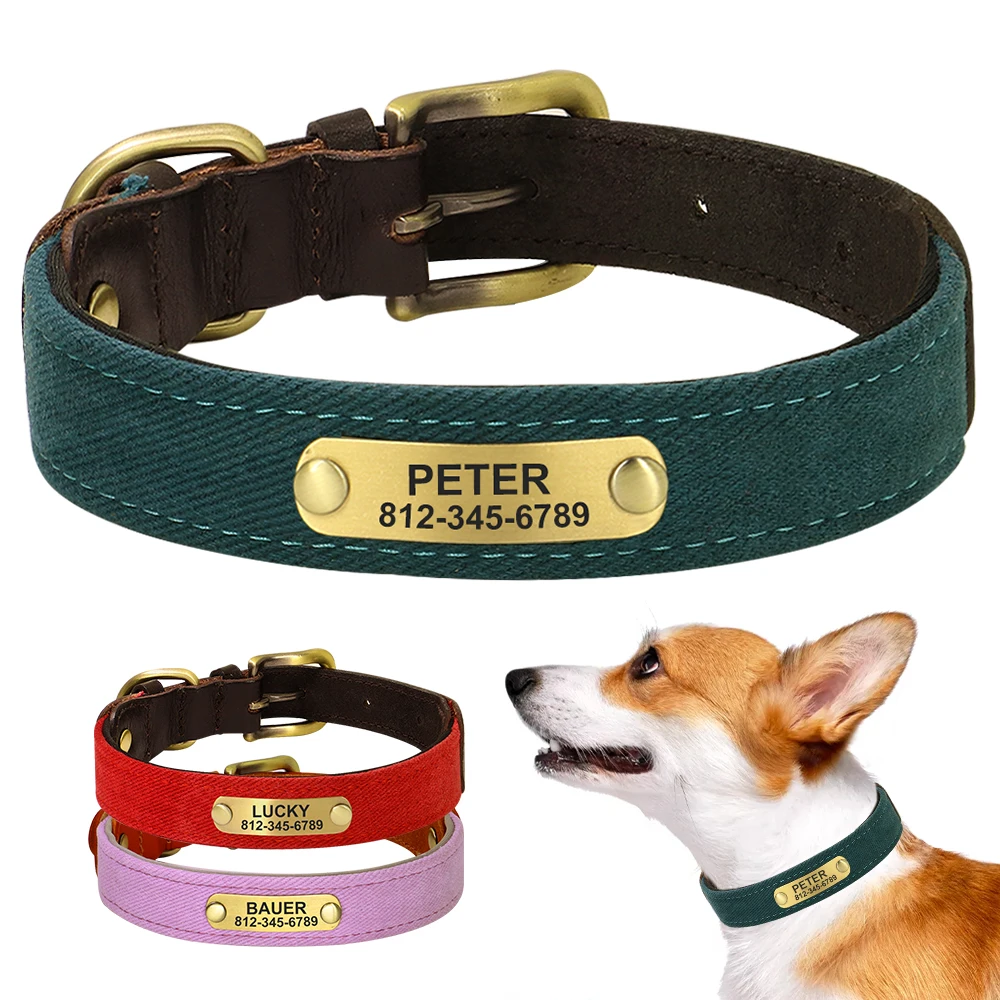 Collar Identificación - Vista principal