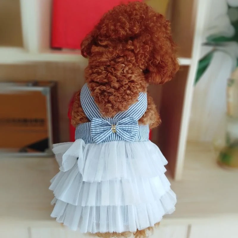 Vestido de verano para perro y gato, falda de encaje para mascotas, ropa a rayas para Chihuahua, ropa de princesa para cachorros, accesorios para perros - imagen 3