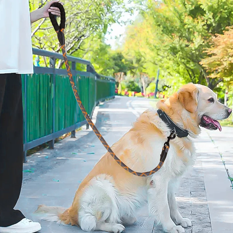 Correas reflectantes de nailon para perros, cuerda de tracción para correr al aire libre, caminar, perros pequeños, medianos y grandes, S/M/L - imagen 2
