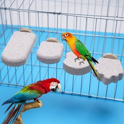 Juguete masticable para loro con palo que pule pico, dientes y garras