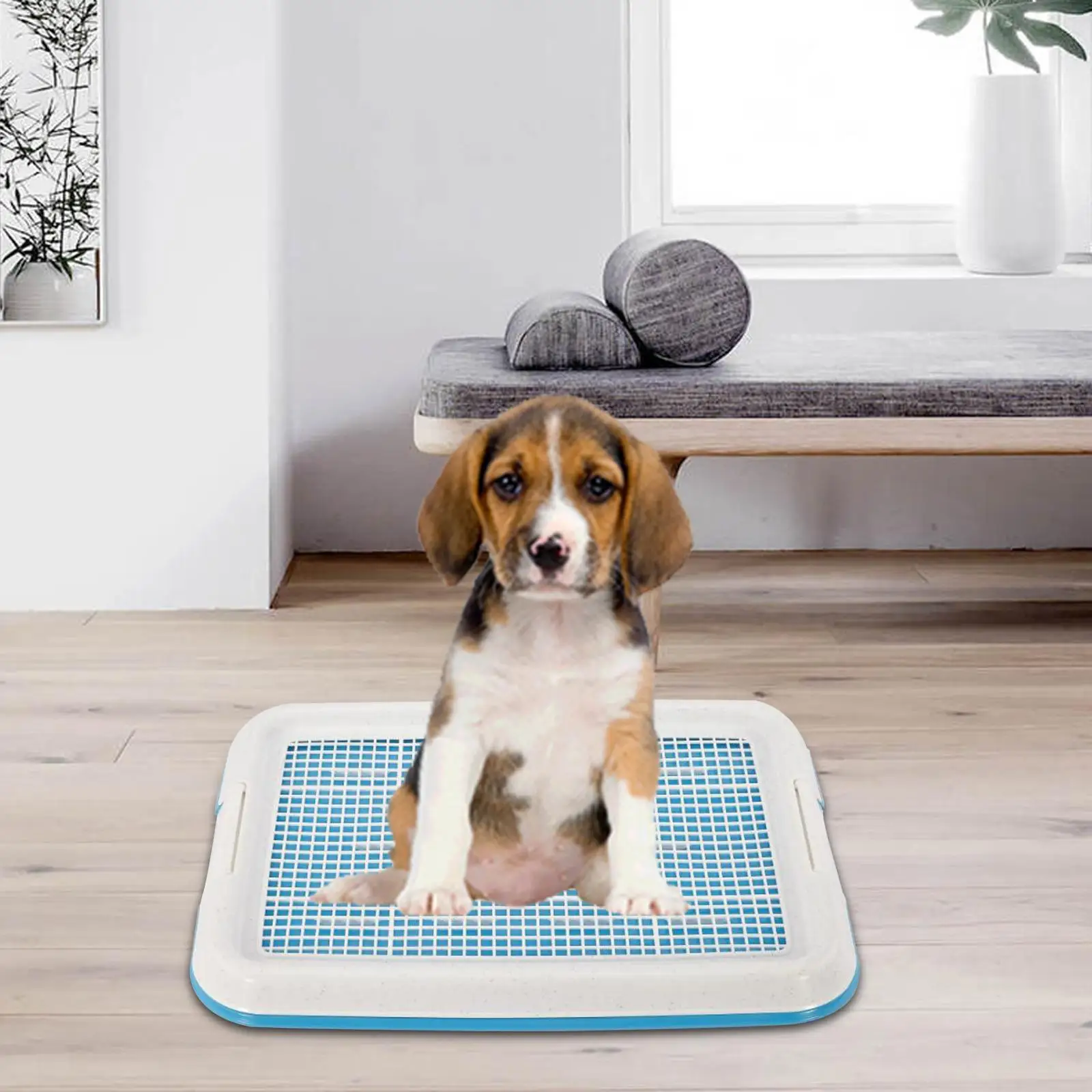 Bandeja de entrenamiento para el baño para perros, bandeja extraíble fácil de limpiar para orinal para perros, bandeja de entrenamiento de malla, caja de arena para perros de tamaño pequeño - imagen 2