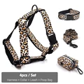 Harness Collar Set