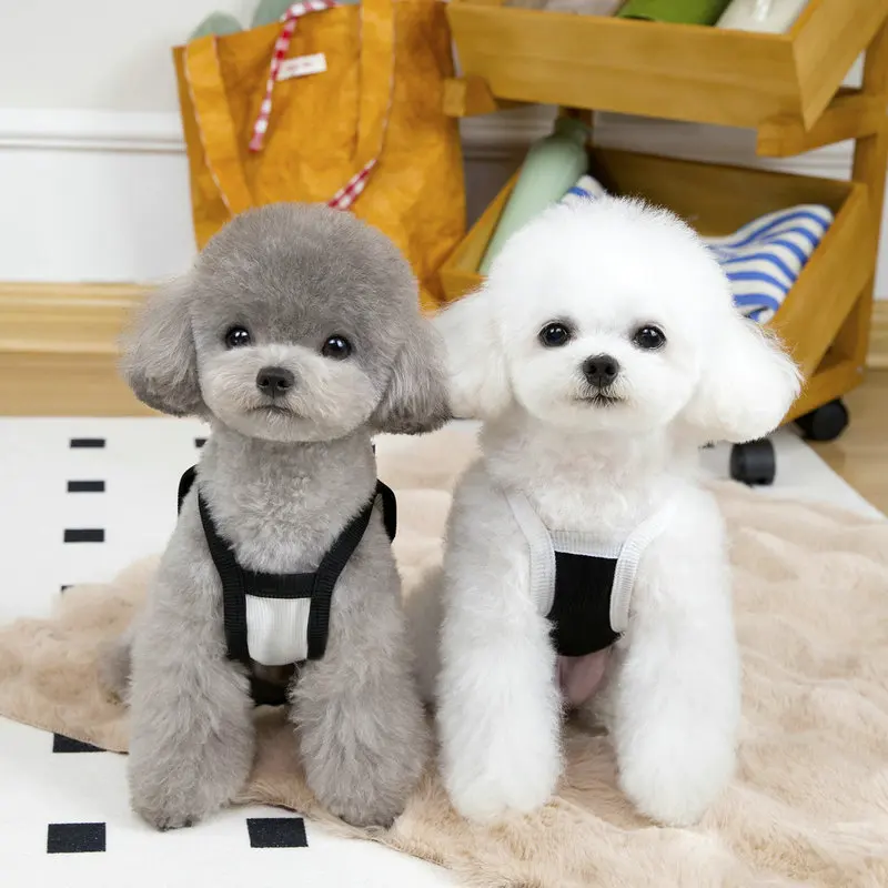 Chaleco fino de verano para perros, ropa transpirable para mascotas para perros pequeños y medianos, camiseta bonita para cachorros, ropa para Chihuahua Yorkie, accesorios para perros - imagen 3