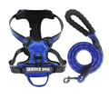 Blue Harness Set