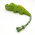 Crocodile