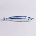 saury