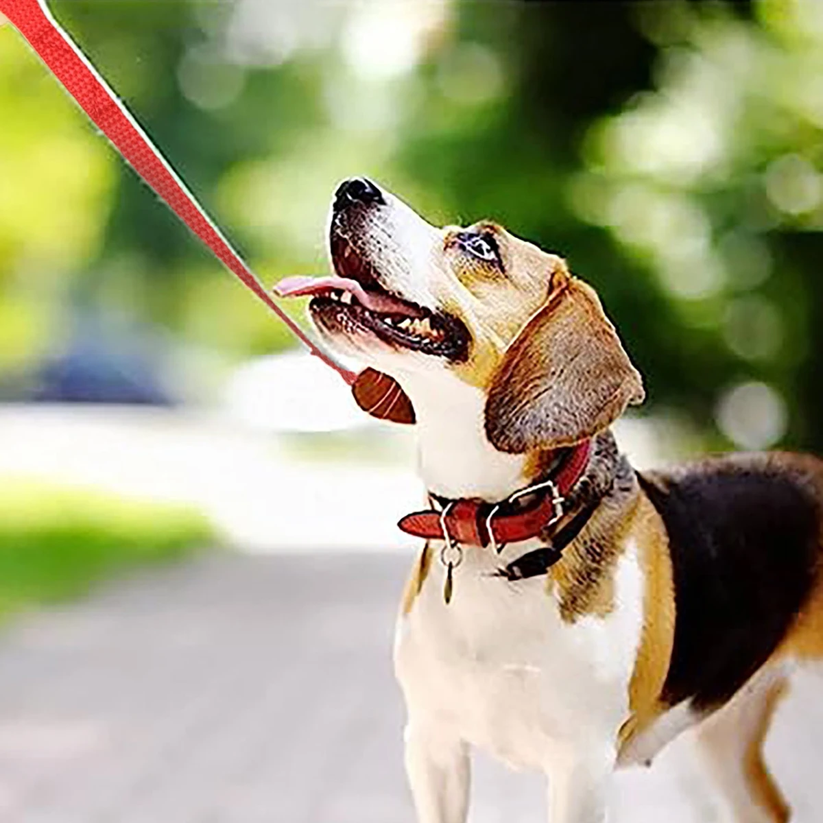 Correa extensible para perros pequeños y grandes – Resistente para montaña - imagen 5