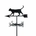 Cat 2