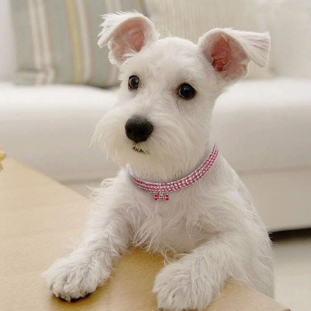 Collar de perro con diamantes de imitación ostentosos, colgante de hueso de diamante de cristal ajustable, Collar de boda para gato, cachorro, Collar elástico para mascota pequeña, joyería - imagen 5