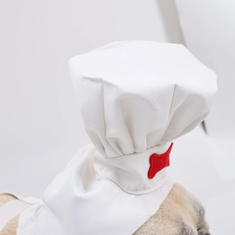 Ropa de Halloween para perros, ropa divertida para perros y gatos, ropa para Chef de transformación, ropa para perros grandes, disfraz creativo bonito para cachorros y gatitos - imagen 5