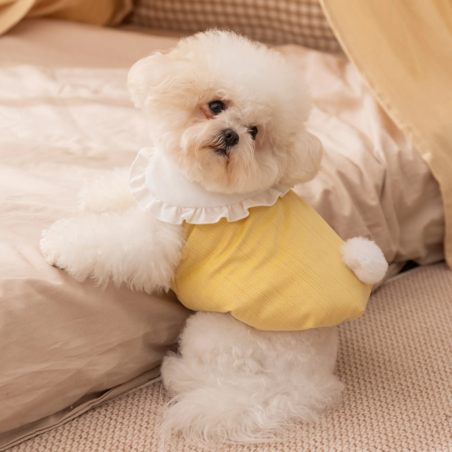 Abrigo bonito de otoño/invierno para perros y conejos, ropa para perros, abrigo bordado con helado, ropa para cachorros pequeños - imagen 4