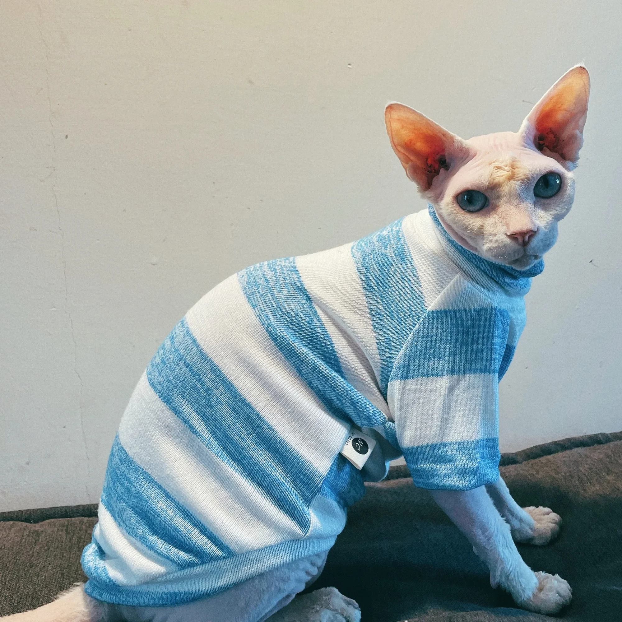 Camiseta de algodón de punto a rayas azules para gato Sphynx en otoño, camiseta interior elástica suave de cuello alto para Devon Rex en invierno - imagen 4
