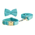 Bow Collar Leash Set