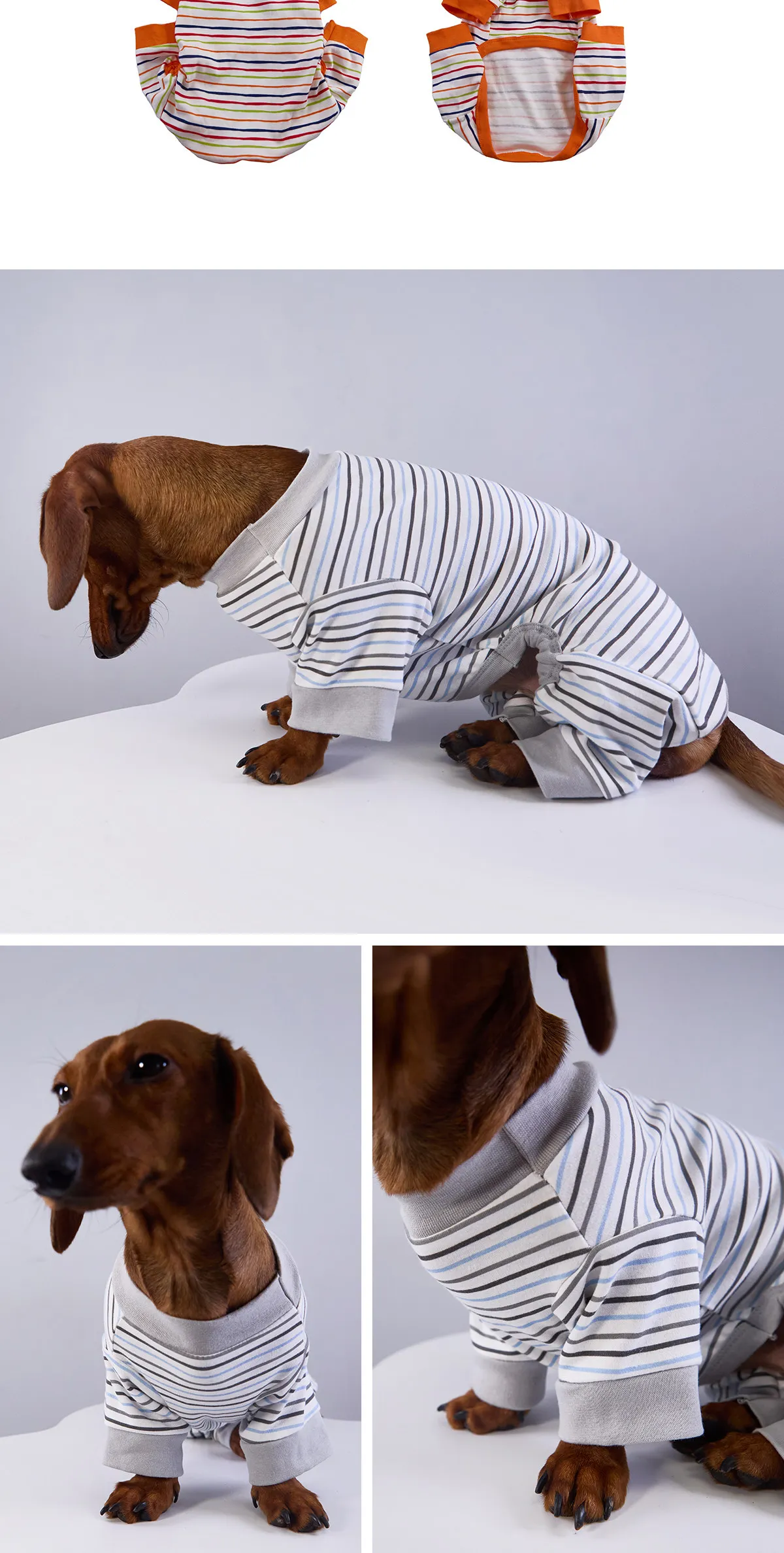 Sudadera para perro salchicha en diferentes ángulos