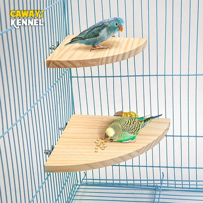 Soporte de madera para loros y pájaros en forma de abanico, accesorios para jaulas de pájaros, percha para animales pequeños, Chinchilla, ardilla, tablero de soporte para hámster - imagen 2