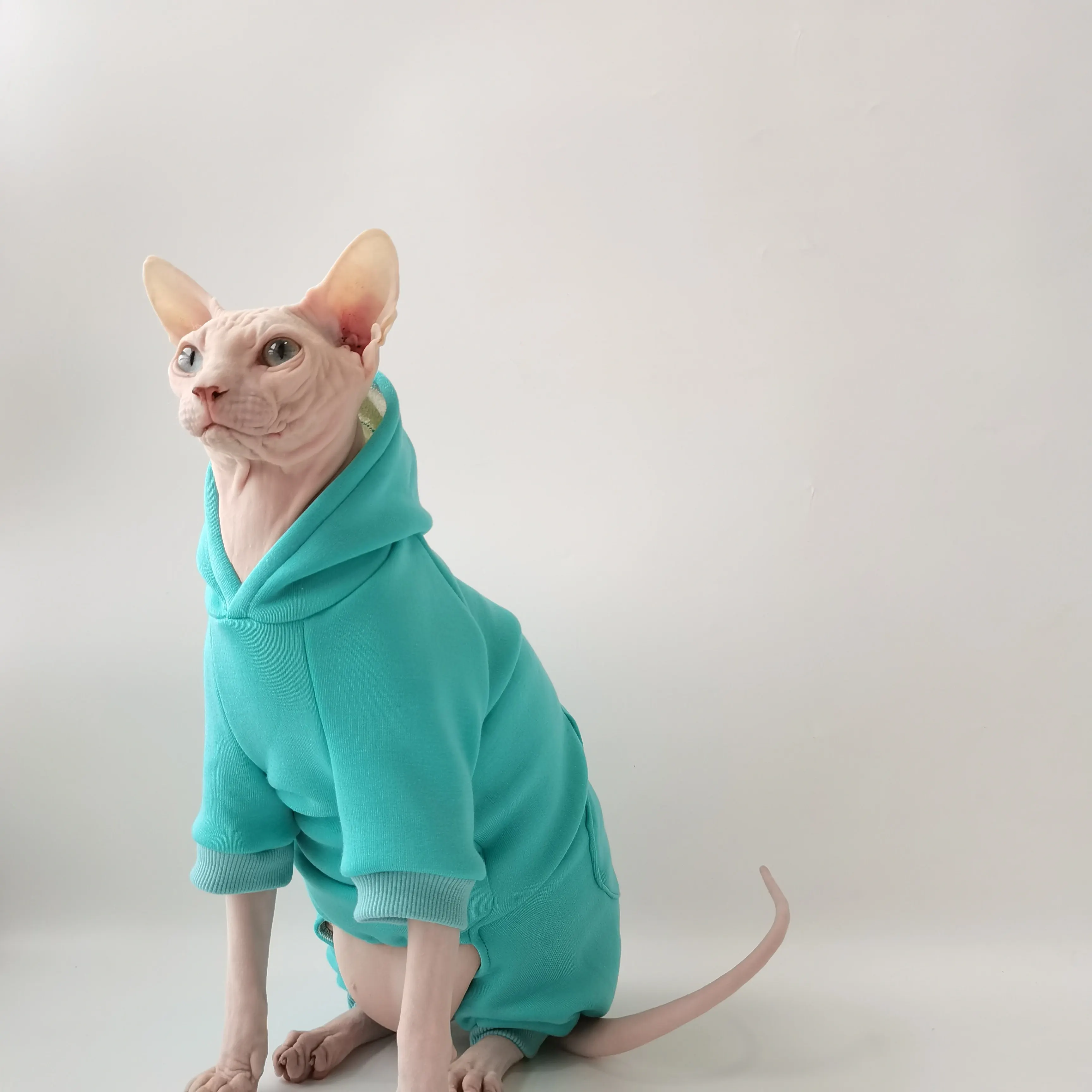 Abrigo gatos Sphynx Devon Rex forro polar capucha – Otoño invierno - imagen 5