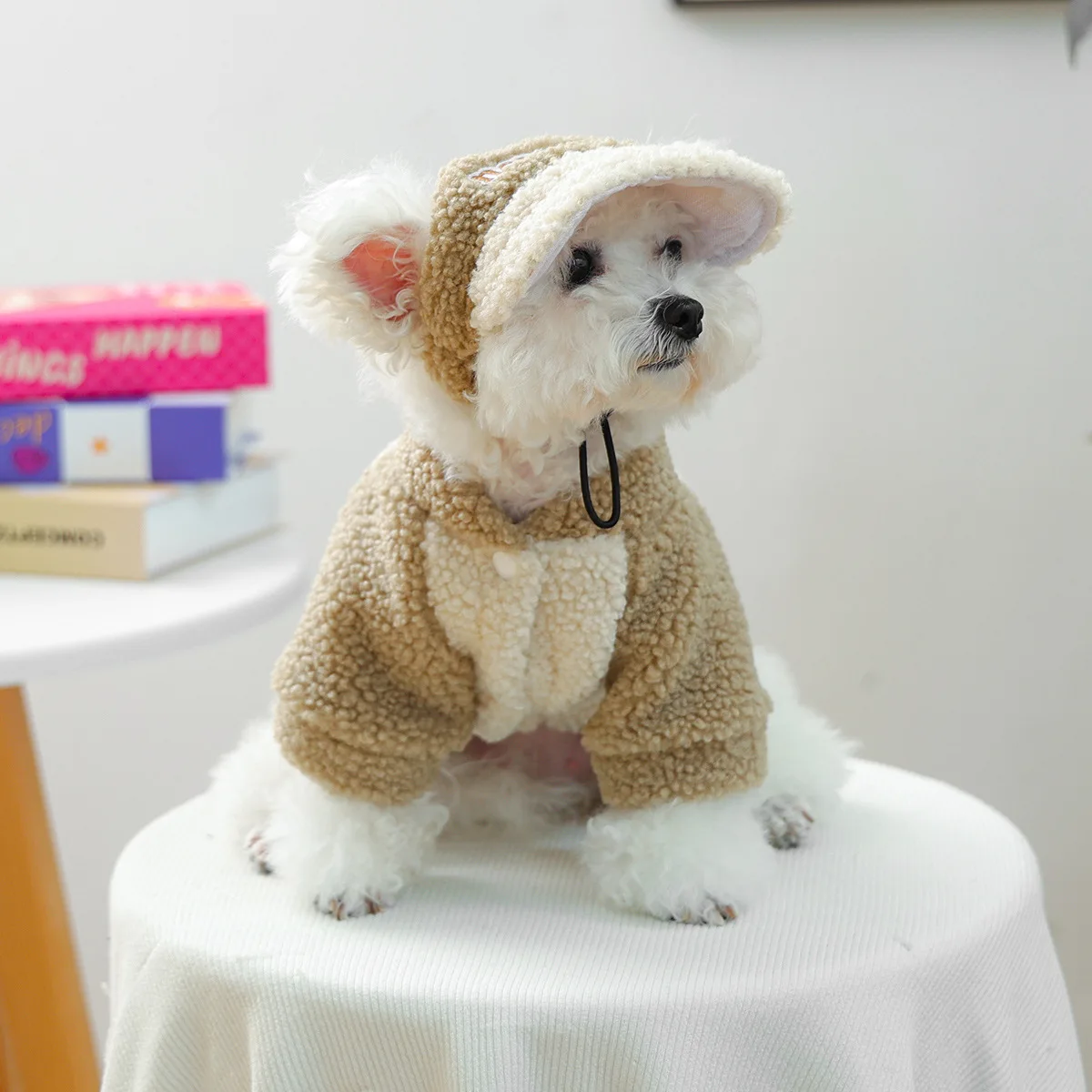 Otoño e Invierno lana de cordero Sudadera con capucha de cuello alto mascota invierno sombrero de felpa gato abrigo Casual ropa para perros pequeños ropa para cachorros - imagen 2