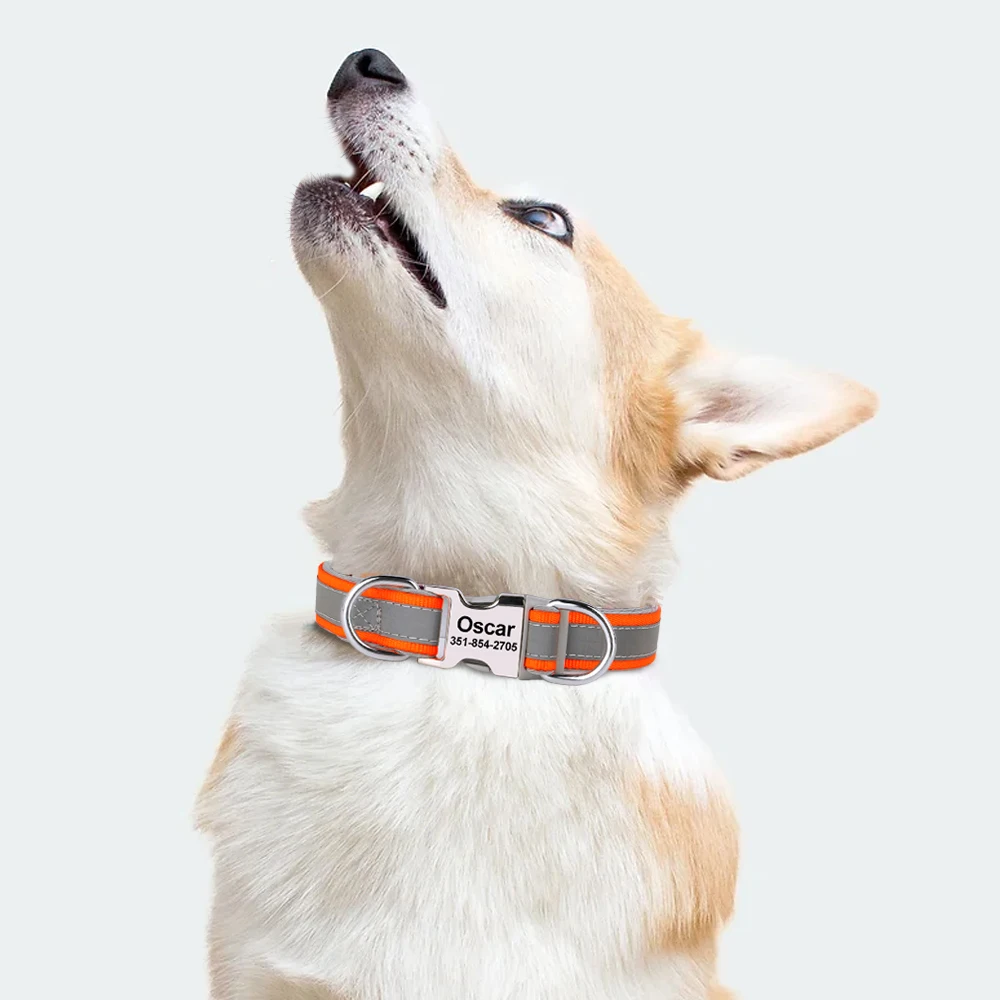 Collar reflectante identificativo para perro Pug – ajustable - imagen 3