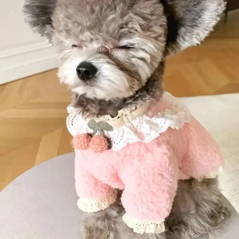 Suéter de cereza para mascotas, suéter de peluche de crema de pétalo, oso Yorkshire, abrigo cálido de invierno para cachorros, ropa para perros pequeños, chaquetas para gatos