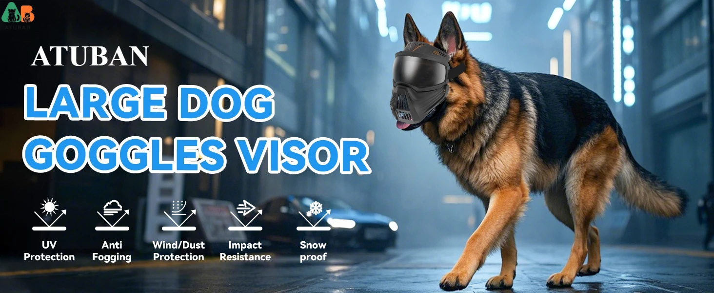 dog goggles