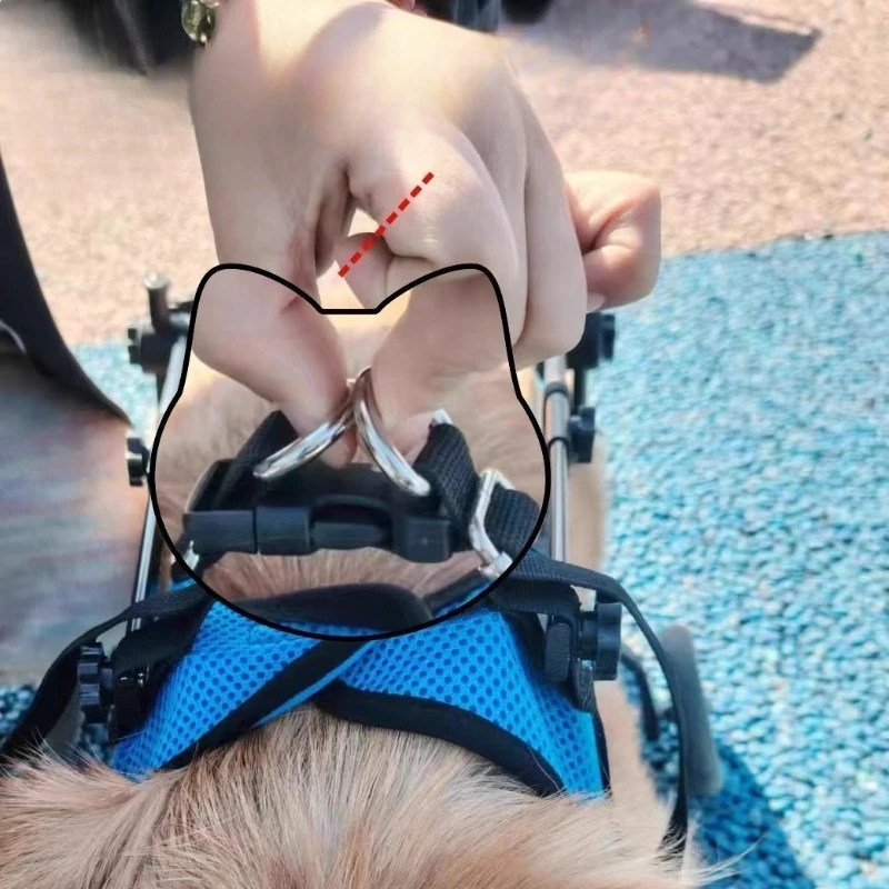 Carrito ortopédico de movilidad para perros y gatos con parálisis - imagen 5