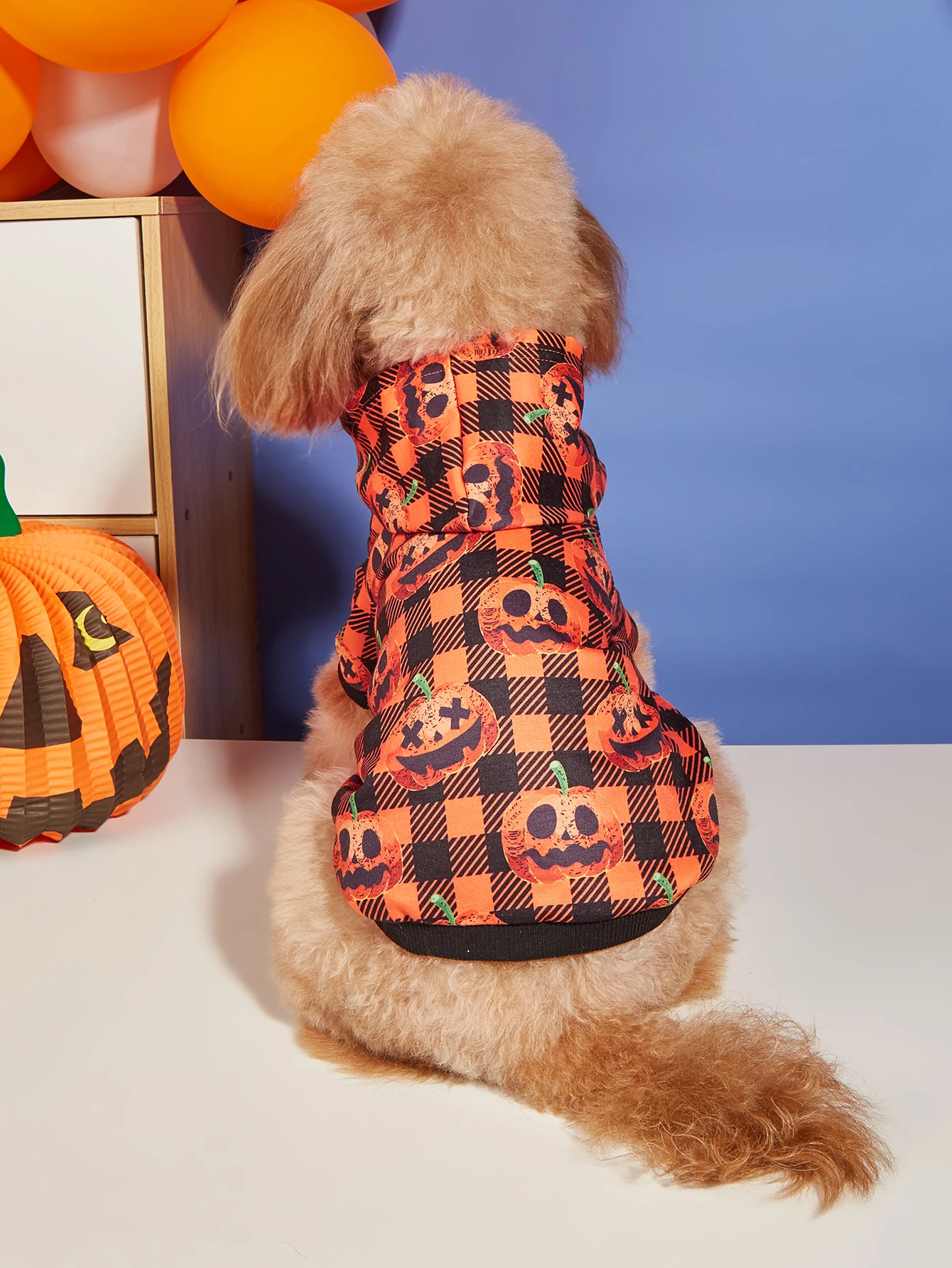 Disfraz Halloween con sudadera y capucha para gatos y perros