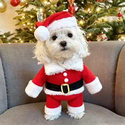 Traje Papá Noel para perro y gato – Ropa Navidad mascotas
