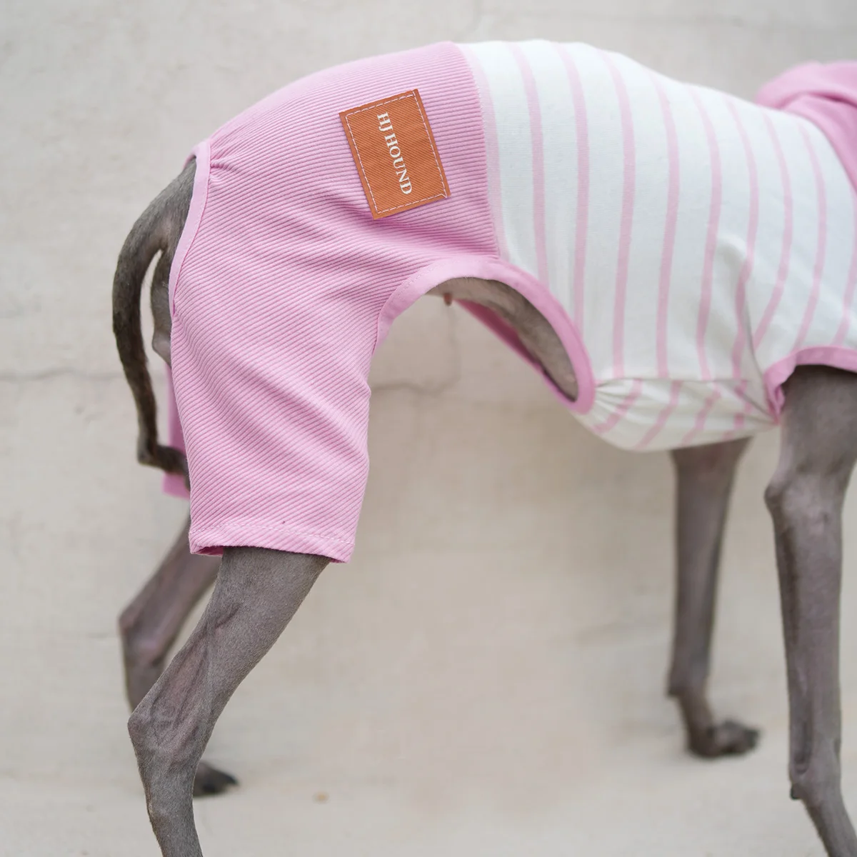 Ropa de rayas rosas para perros galgo italiano, mono de algodón de una pieza para primavera y verano, camiseta de alta elasticidad, pantalón para Whipbit - imagen 5