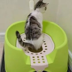Inodoro automático para gatos pequeños – descarga fiable y cómoda