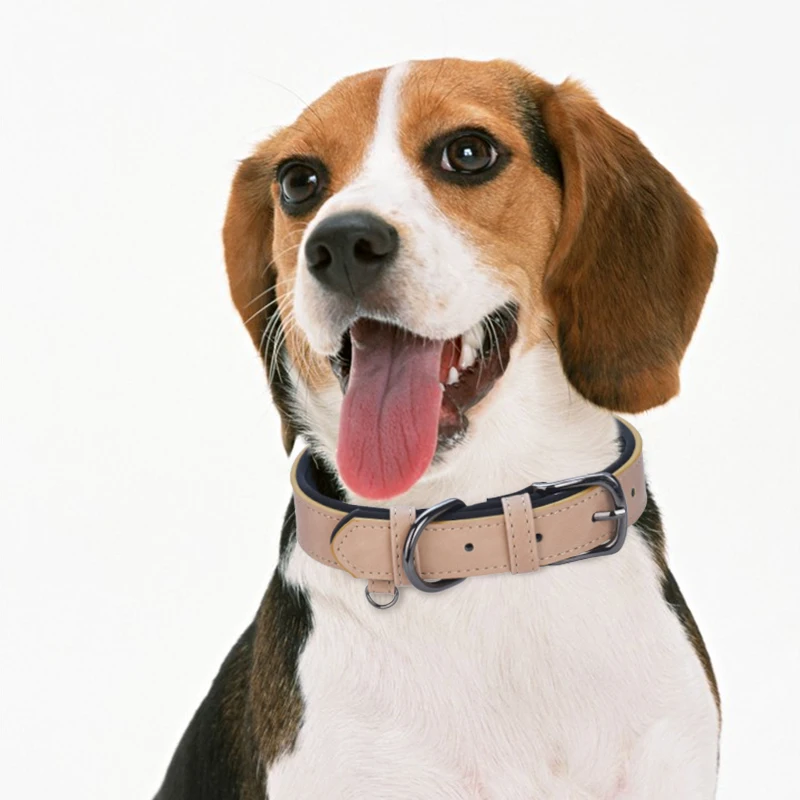Adjustable Dog Collar Leather Dog Collar Padded Pet Collars Strong& Durable for Small Medium Dogs Pet Shop Bulldog Bull Terrier - imagen 2