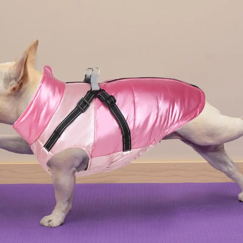 Chaleco cálido para perros, ropa para Chihuahua Pug, chaqueta para perros, abrigo para perros de otoño e invierno, traje para perros pequeños y medianos - imagen 5