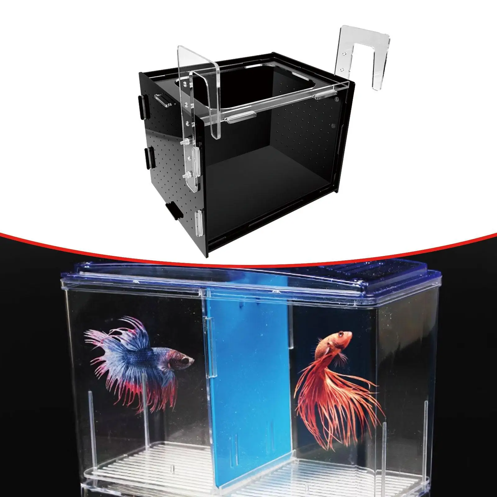 Fish Breeding Box, Fish Isolation Box, Sturdy Separation Easy Installation Clear Hanging Incubator for Clownfish Betta