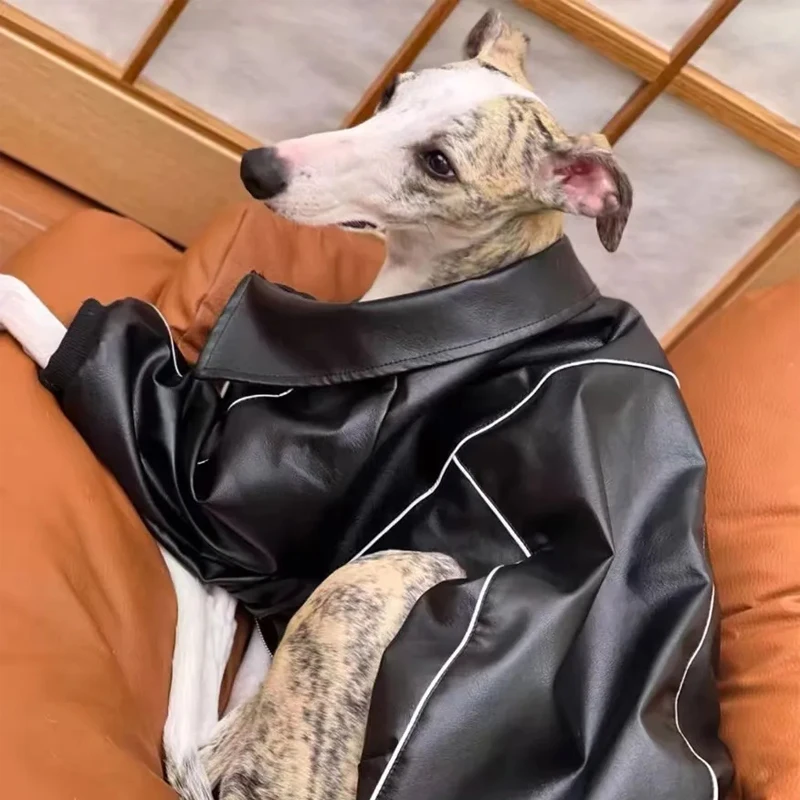 Moda Otoño chaqueta impermeable negra para Whipbit invierno cuero a prueba de viento ropa para perros galgo abrigo con cremallera para perros Meida - imagen 4