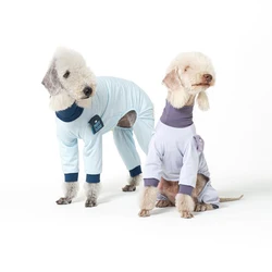 Camiseta de manga larga para galgo – Protección solar y antihumedad para primavera