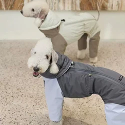 Abrigo invierno para perros pequeños – Chaqueta galgo italiano