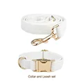 collar and leash set