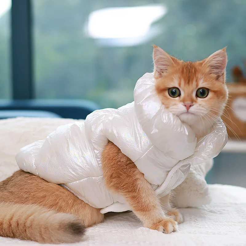 Chaleco de princesa para gatos, abrigo de lana, ropa cálida para perros, chaqueta de plumas para perros pequeños y medianos, ropa para mascotas, abrigos de disfraz para cachorros y Bulldogs, XS-XXL - imagen 3