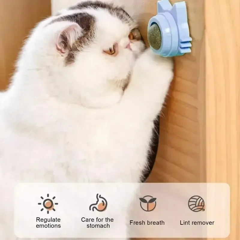 Bola de hierba gatera para gatos – Resistente y anti-aburrimiento