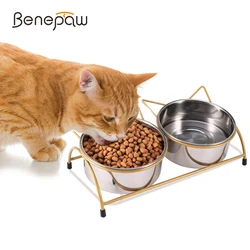 Cuencos elevados para gato – Doble acero inoxidable con soporte inclinado