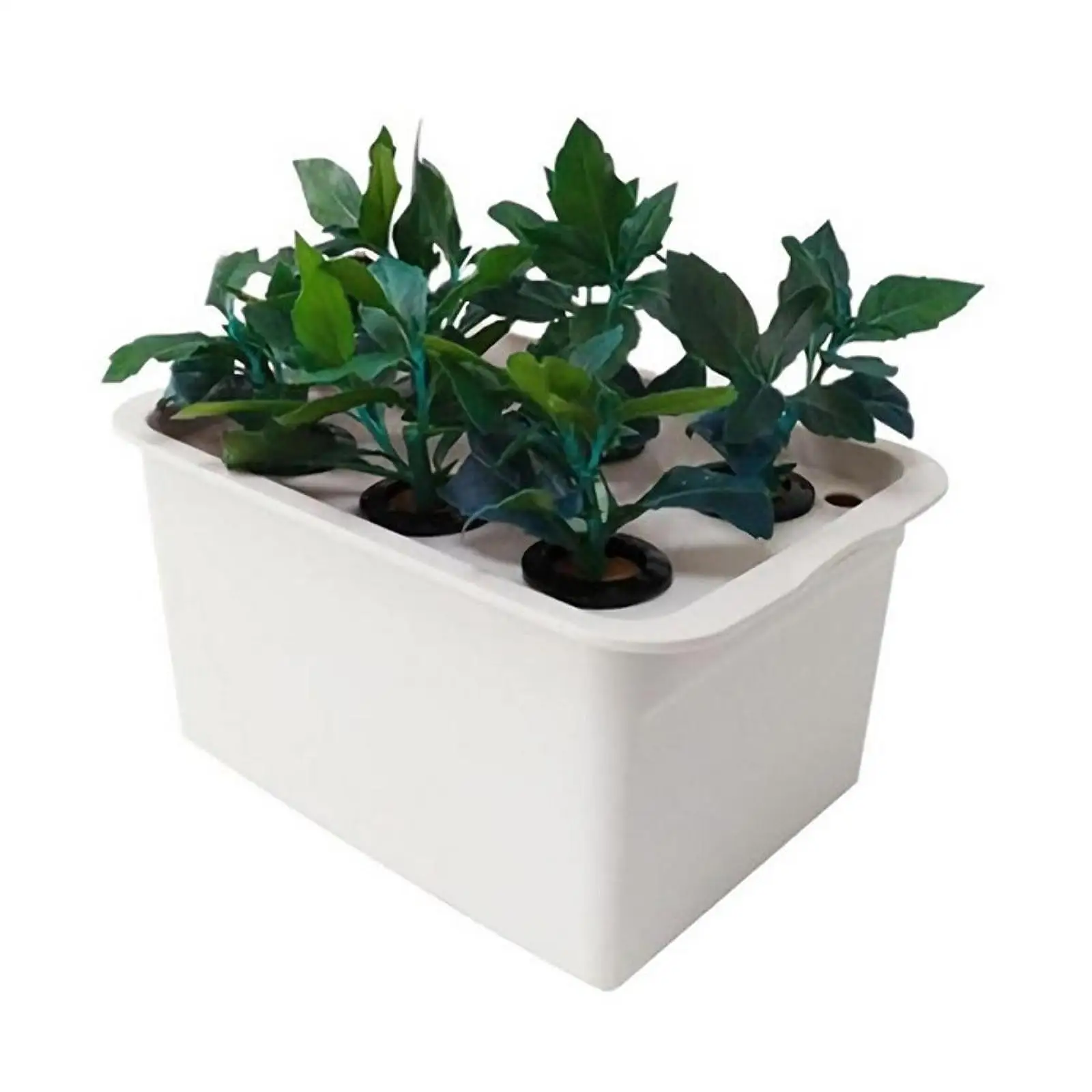 Hydroponic System Growing Box,Improved Aeration,Large Capacity,Garden Cabinet Box,Indoor Gardening System for Lettuce,Vegetables Hydroponic System Growing Box,Improved Aeration,Large Capacity,Garden Cabinet Box,Indoor Gardening System for Lettuce,Vegetables