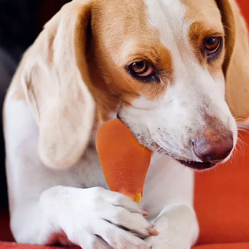 Juguete para lanzar perros, gato, juguete para perros, pollo de peluche, baqueta, sonido, chirriador, juguete para masticar para perros, juego interactivo, juguetes, suministros para mascotas - imagen 3